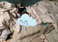 IMG 20221215 WA0008