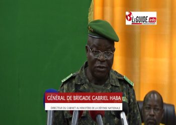 Nouvelle constitution : l’armée ne veut que trois partis politiques