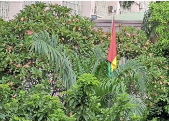 Screenshot 20230501 205753 Gallery 1