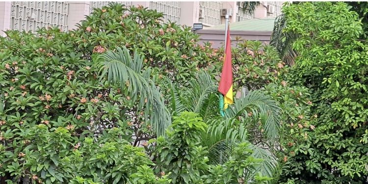 Screenshot 20230501 205753 Gallery 1