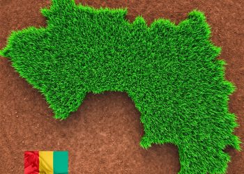 Guinée : « Ne cachons pas cette diversité qui fait notre beauté », Ousmane BANGOURA