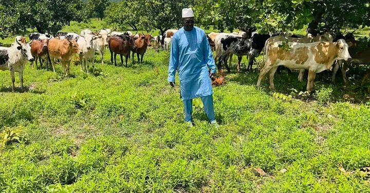 Santé : la CEDEAO évoque la question des médicaments vétérinaires 1 Santé : la CEDEAO évoque la question des médicaments vétérinaires