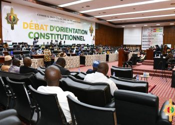 Future constitution : les contributions toujours recevable notamment en ligne (CNT)