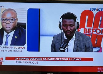 Suspension de la participation de la Guinée à l&rsquo;OMVS : Dr Bernard GOUMOU revient à la charge