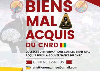 Biens mal acquis en Guinee