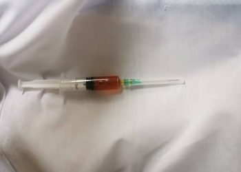 WhatsApp Image 2023 09 03 at 11.01.44