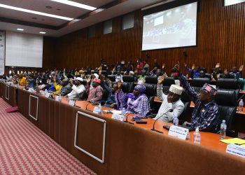 CONSEILLERS NATIONAUX EN TRAIN DADOPTER LE VOLET RECETTE DE LA LFI 2024