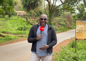 Médias : Lamine Guirassy de nouveau nominé à l’international (source)