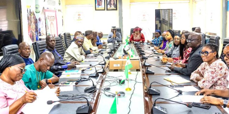 Victimes des inondations au Nigéria : La CEDEAO apporte une aide financière 1 Victimes des inondations au Nigéria : La CEDEAO apporte une aide financière