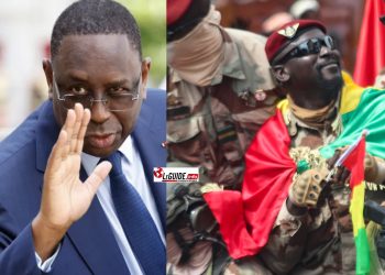 Politique: “Oui, la nouvelle vie de Macky peut inspirer Mamadi !”