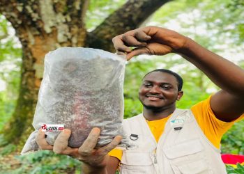 Agriculture : découvrez le parcours du jeune Amadou Bah patron de CEDA-GUINÉE