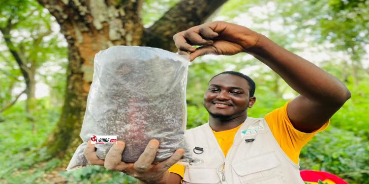 Agriculture : découvrez le parcours du jeune Amadou Bah patron de CEDA-GUINÉE 1 Agriculture : découvrez le parcours du jeune Amadou Bah patron de CEDA-GUINÉE