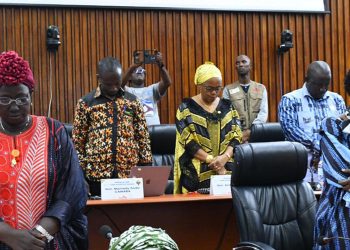 Médias : La Guinée se dirige enfin vers la TNT (Convention)