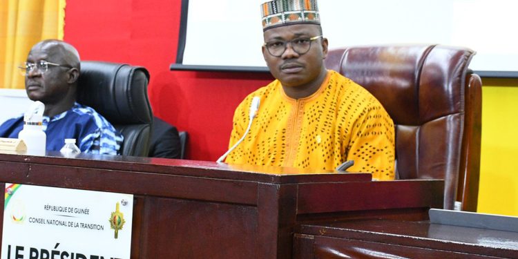 CNT / FAD : vers un appui à la résilience des PME en Guinée 1 CNT / FAD : vers un appui à la résilience des PME en Guinée