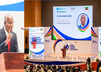 Sécurité alimentaire : « environ 21% des africains ont souffert de la faim en 2020 », (UA)