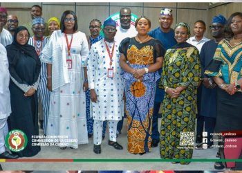 Indice de sécurité humaine : la CEDEAO retouche ses manches pour faire face aux défis du développement sous-régional