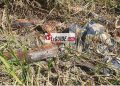 Encore Siguiri : découverte d’un corps en état de putréfaction dans un champ de riz. 