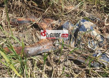 Encore Siguiri : découverte d’un corps en état de putréfaction dans un champ de riz. 