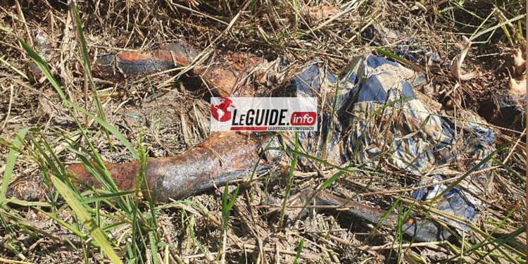 Encore Siguiri : découverte d’un corps en état de putréfaction dans un champ de riz. 1 Encore Siguiri : découverte d’un corps en état de putréfaction dans un champ de riz.