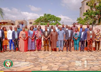 Défi énergétique : la CEDEAO envisage la révision du protocole énergétique