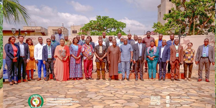 Défi énergétique : la CEDEAO envisage la révision du protocole énergétique