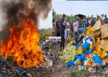 Kankan : une importante quantité de chanvre indien et d’autres produits périmés incinérés