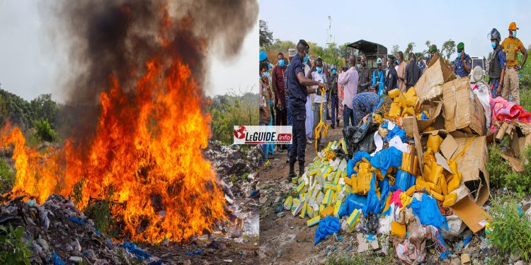 Kankan : une importante quantité de chanvre indien et d’autres produits périmés incinérés 1 Kankan : une importante quantité de chanvre indien et d’autres produits périmés incinérés