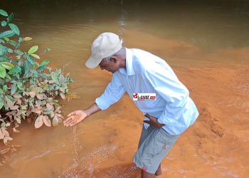 Agression des cours d’eau et prolifération des forages : ce qu’en dit Dr Dansa Kourouma !