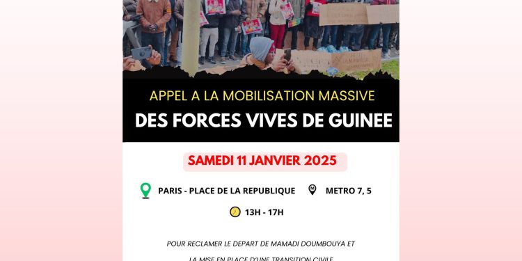 Retour à l’ordre constitutionnel : les Forces Vives de Guinée (France), projette une manifestation 