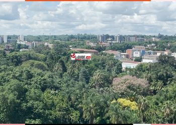  Zimbabwé, fin d’un atelier sur l’audiovisuel pour 12 reporters, venus de 12 pays  