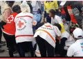 Débandade à Mamou : témoignage étonnant d’un médecin sur les ‘’piqûres d’abeilles’’