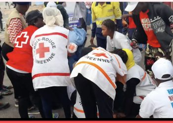 Débandade à Mamou : témoignage étonnant d’un médecin sur les ‘’piqûres d’abeilles’’