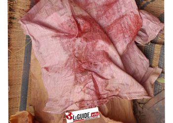 Siguiri/ Bouré-Fatöya: Un jeune orpailleur péri dans un éboulement