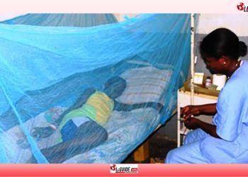 Santé /RDC : près de 28 millions de cas de paludisme enregistrés en 2024 (officiel)