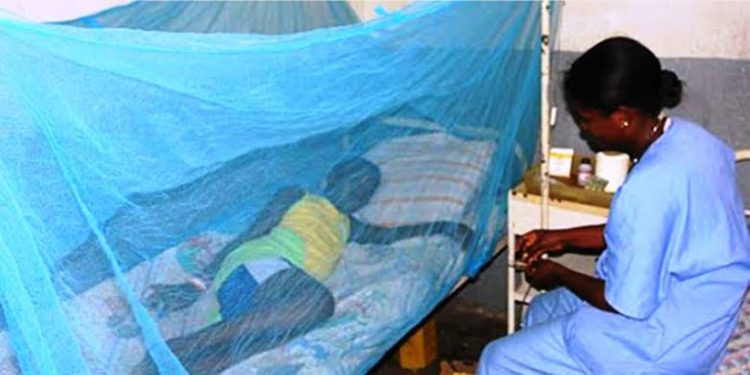 Santé /RDC : près de 28 millions de cas de paludisme enregistrés en 2024 (officiel)