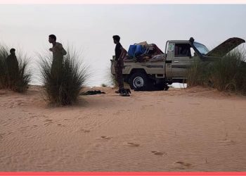 Mali : montée inquiétante des jihadistes du Jnim à la frontière avec le Sénégal et la Mauritanie