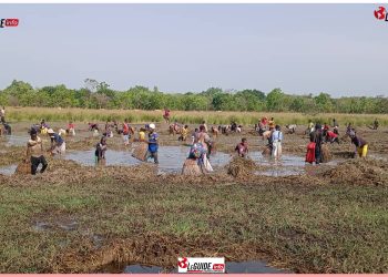 Barbotage des marres : l’esprit de rivalité positive qui enrichit le patrimoine culturel guinéen !