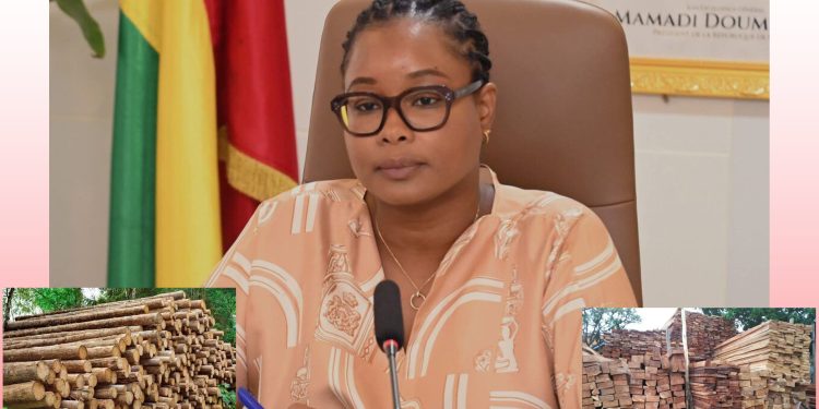 Coupe et transport de bois suspendus : le MEDD annonce une pause nationale jusqu’en septembre 1 Coupe et transport de bois suspendus : le MEDD annonce une pause nationale jusqu’en septembre