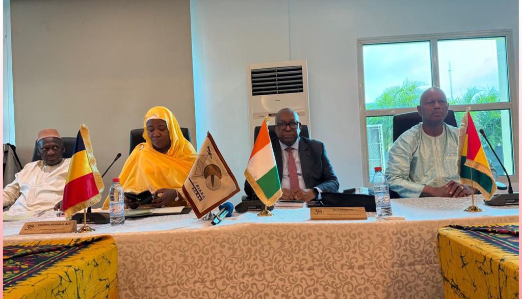 Médias et Intelligence Artificielle : le Colloque international de Cotonou fait des recommandations 3 LOGE OFFICIELLE DU COLLOQUE DE COTONOU