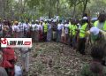 Reboisement : 30 hectares restaurés à Soumankoi par L’ONG Prévention pour Tous Guinée