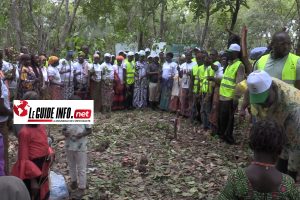 Reboisement : 30 hectares restaurés à Soumankoi par L’ONG Prévention pour Tous Guinée 2 ONG PREVENTION POUR TOUS GUINEE
