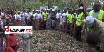 Reboisement : 30 hectares restaurés à Soumankoi par L’ONG Prévention pour Tous Guinée
