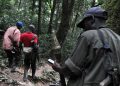 ‎RDC : les rebelles FDLR acceptent de déposer les armes pour un rapatriement au Rwanda, mais dénoncent un blocage de Kigali  ‎