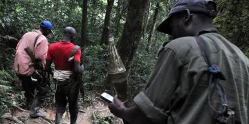 ‎RDC : les rebelles FDLR acceptent de déposer les armes pour un rapatriement au Rwanda, mais dénoncent un blocage de Kigali  ‎