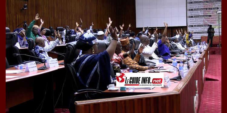 Loi de finances rectificative 2025 : le CNT adopte le volet recettes, malgré tout ! 1 Loi de finances rectificative 2025 : le CNT adopte le volet recettes, malgré tout !