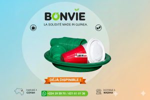 INDUSTRIE : La marque « BONVIE » révolutionne le marché des jetables en Guinée (Publireportage) 3 BBB@2x@2x.jpg