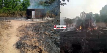 SOS à Doghol Touma (Pita) : le cri de détresse d&rsquo;un village dévore par un feu « mystérieux »