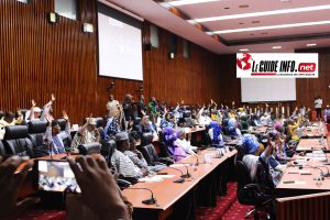 Des conseillés nationaux au CNT