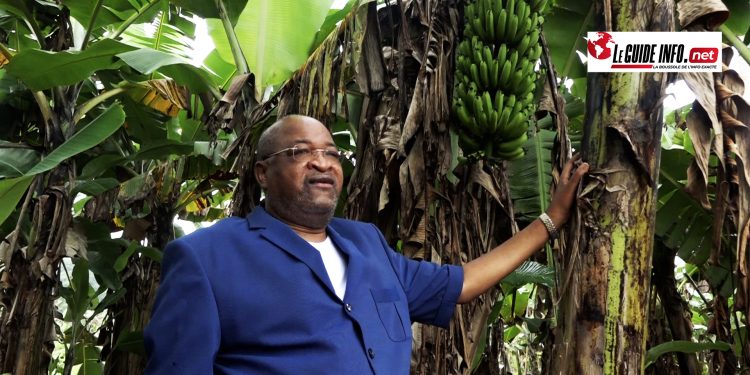 Mamadou Sylla, dans son ranch à Kindia