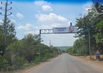 Boké : le SAF de la DPE appelle les enseignants à « maîtriser » les bureaux de vote—Une déclaration qui fait scandale